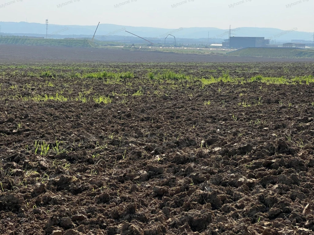 Eladó Kispáli belterületén, a ZalaZONE Ipari Park közelében fekvő 5998m2-es sík terület.