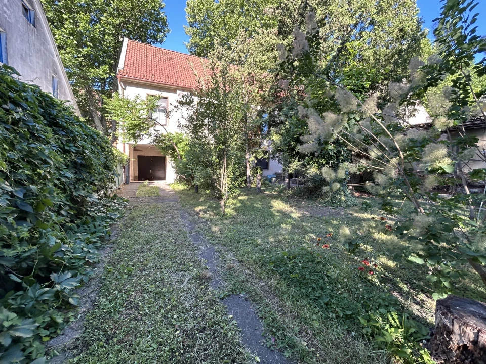 c3-1-name c2-1-name, Székesfehérvár