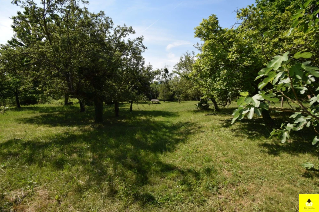 c3-1-name c2-53-name, Kőszeg, Kőszegen, a Királyvölgyben 3117 m²-es telek eladó – kiváló lehetőség!