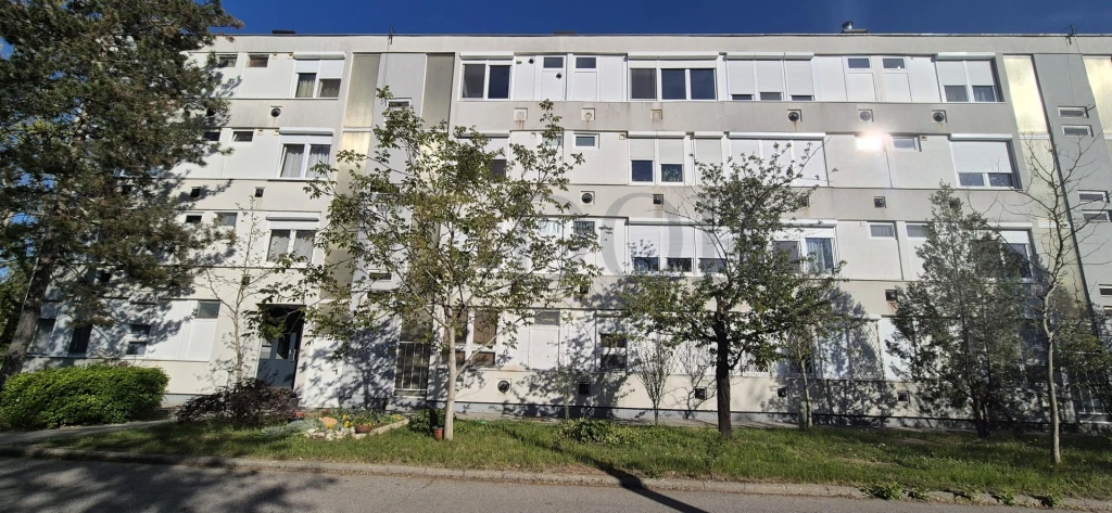 c3-1-name c2-23-name, Vecsés