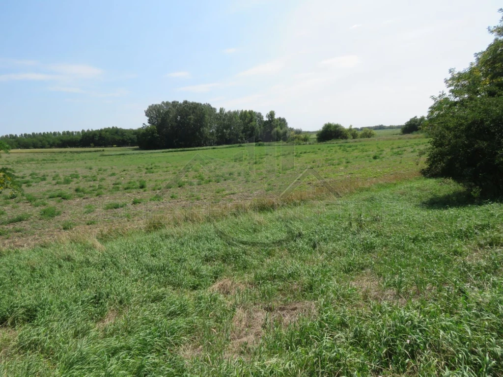 Kíváló befektetési lehetőség!