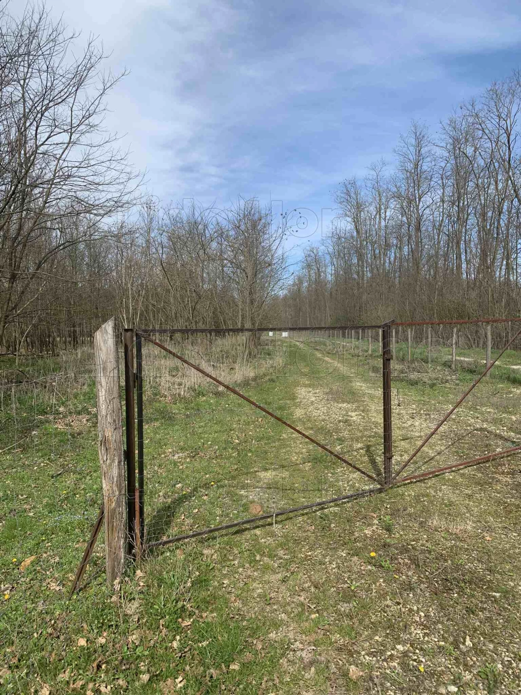 For sale other house, Tényő