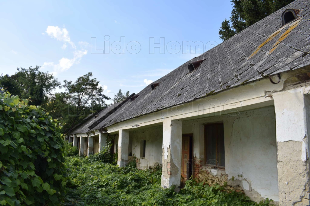 For sale house, Bakonygyirót