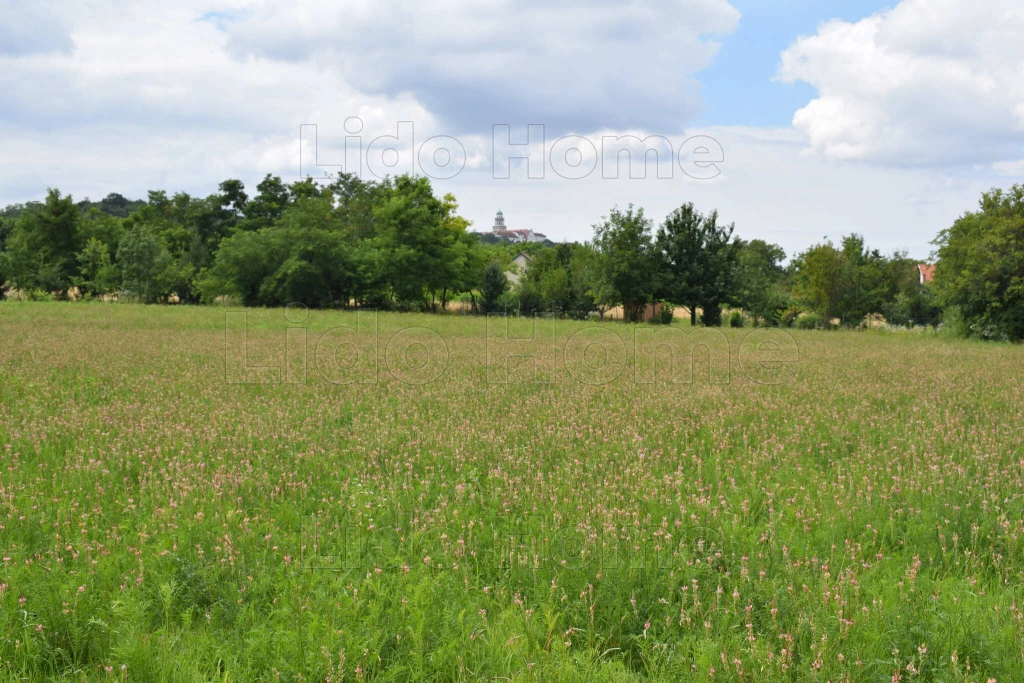 For sale plough-land, pasture, Pannonhalma