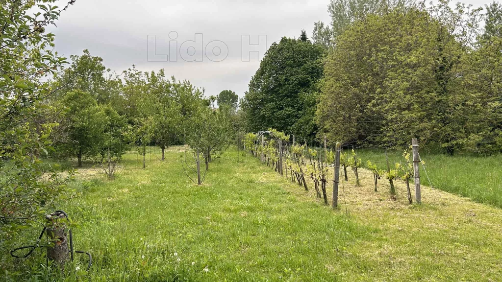 Győr-Kismegyer városrészen eladó 2067 M2 építési telek!