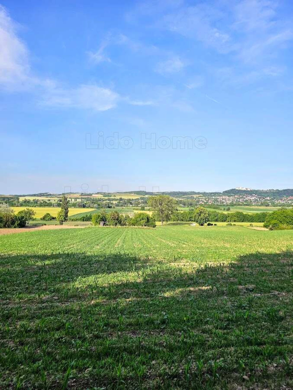 For sale closed garden, Écs