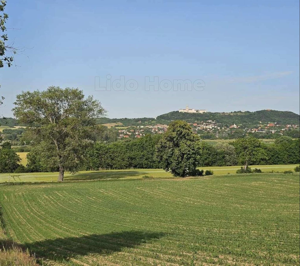 For sale closed garden, Écs