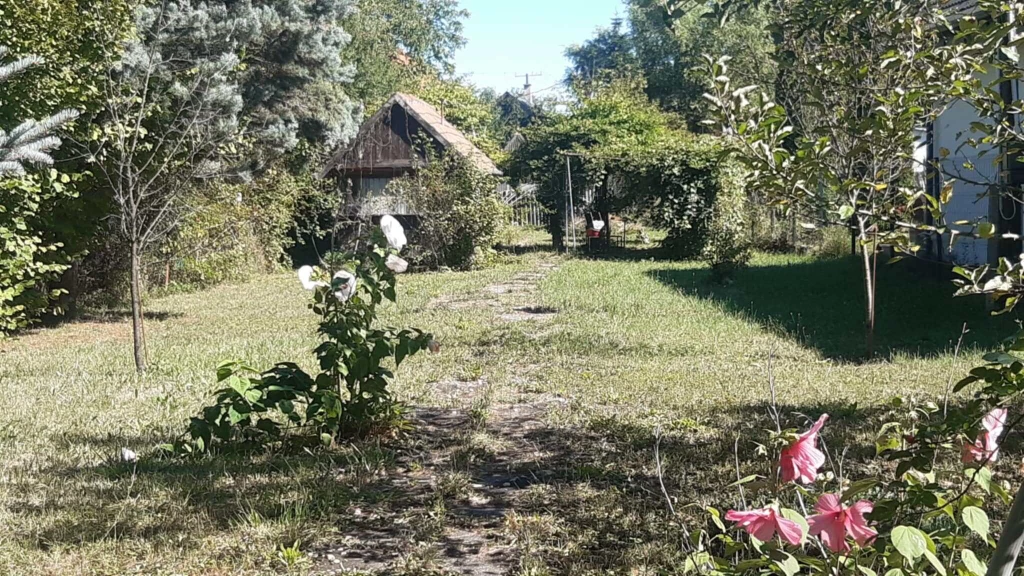c3-1-name c2-58-name, Győr