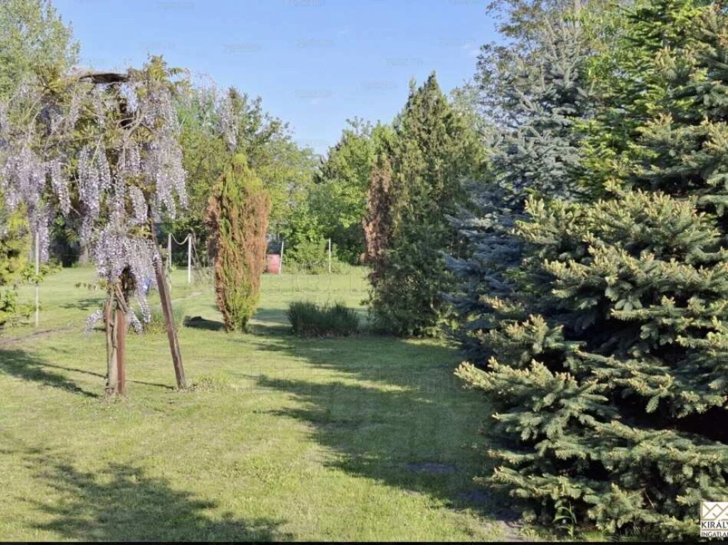 For sale orchard, Győr