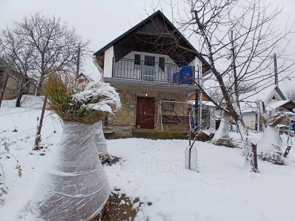 Bakonycsernye szőlő présházzal eladó!