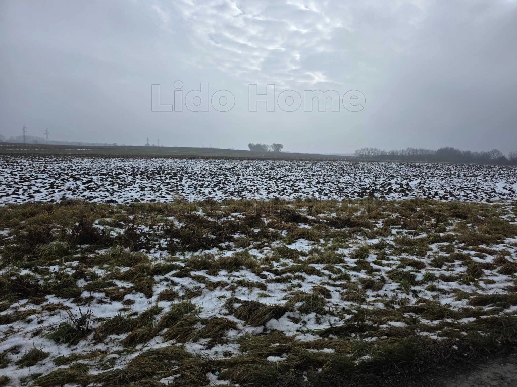 Eladó kiváló minőségű szántóföld PERESZTEG HATÁRÁBAN!