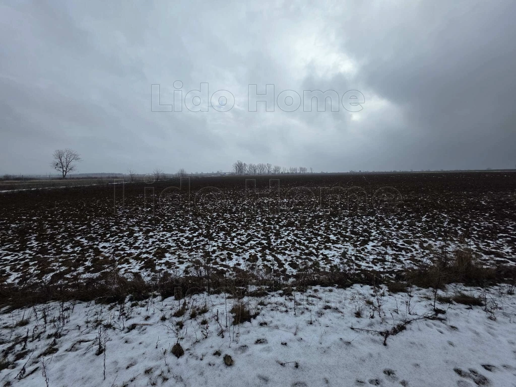 Eladó szántóföld Pereszteg határában – befektetésnek ideális!