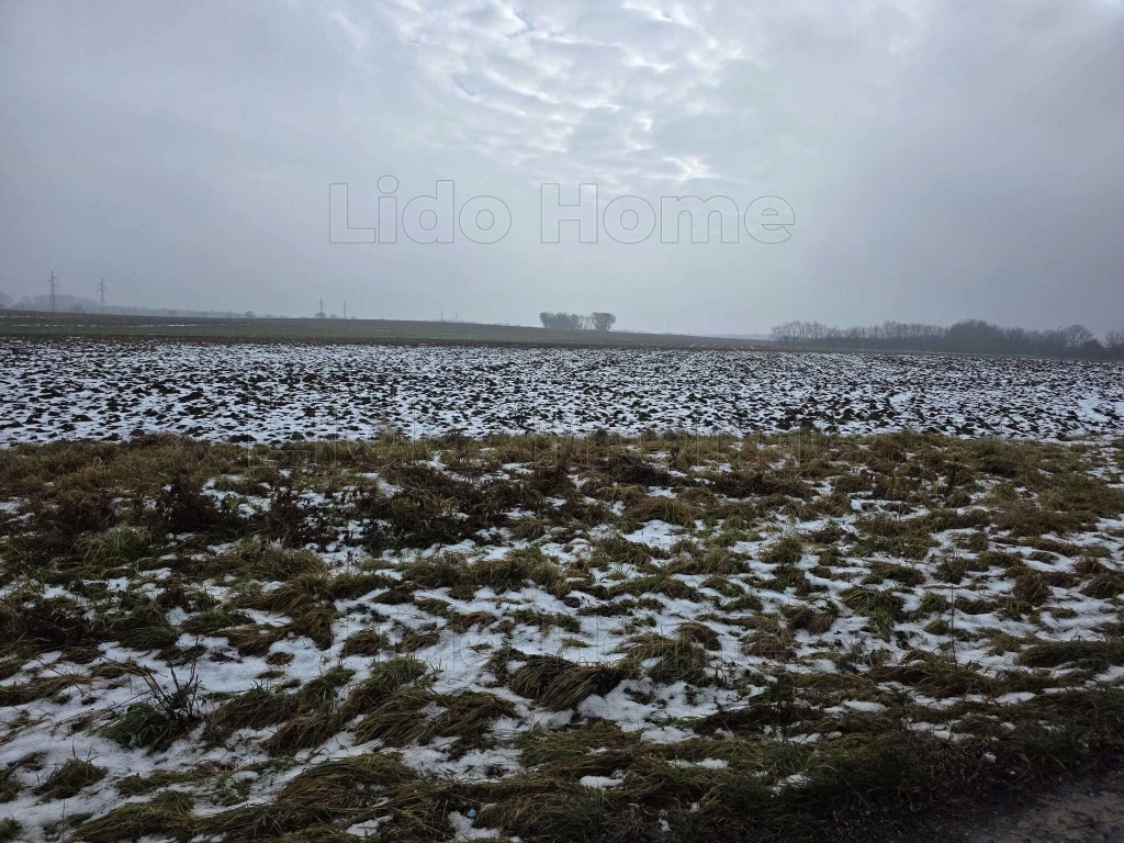 ELADÓ PERESZTEG KÜLTERÜLETÉN – 2 EGYMÁS MELLETTI SZÁNTÓ EGYBEN, KEDVEZMÉNYES ÁRON!