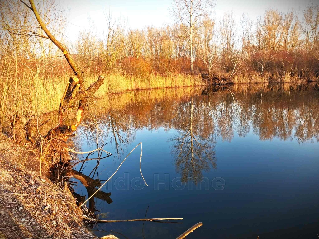 Károlyházán 5 hektáros terület tóval eladó