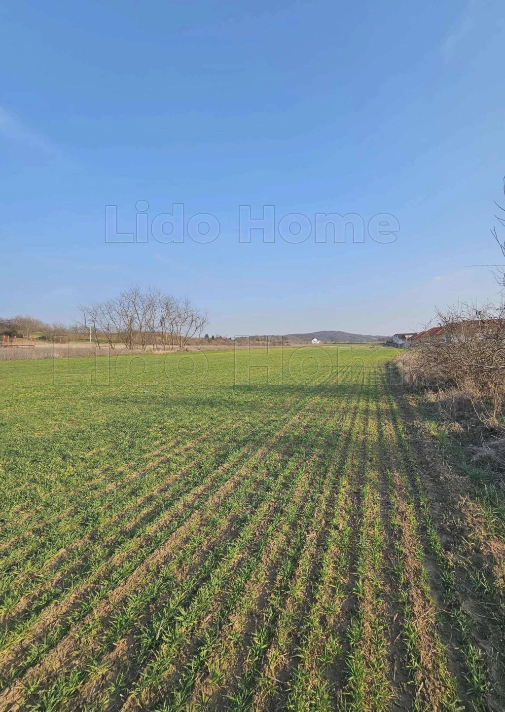 Eladó kiváló fejlesztési lehetőség Győrújbarát külterületén – 1 hektáros gazdasági terület