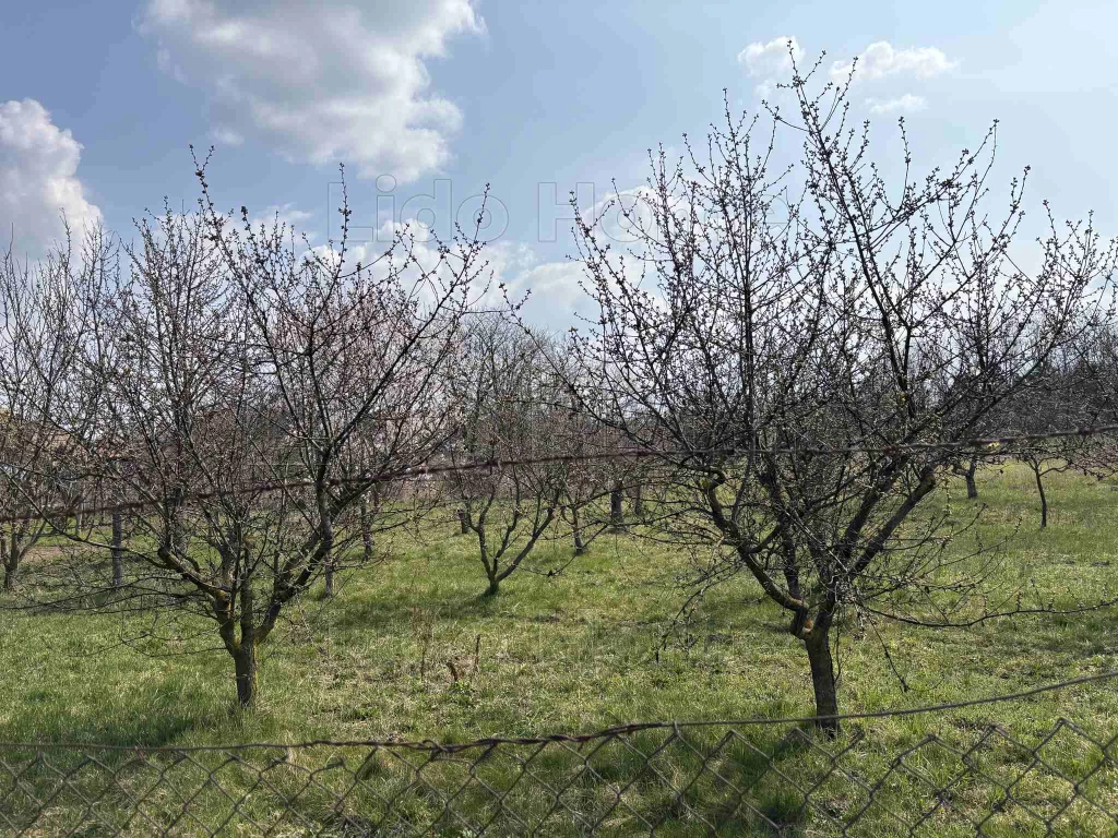 For sale building plot, Tét