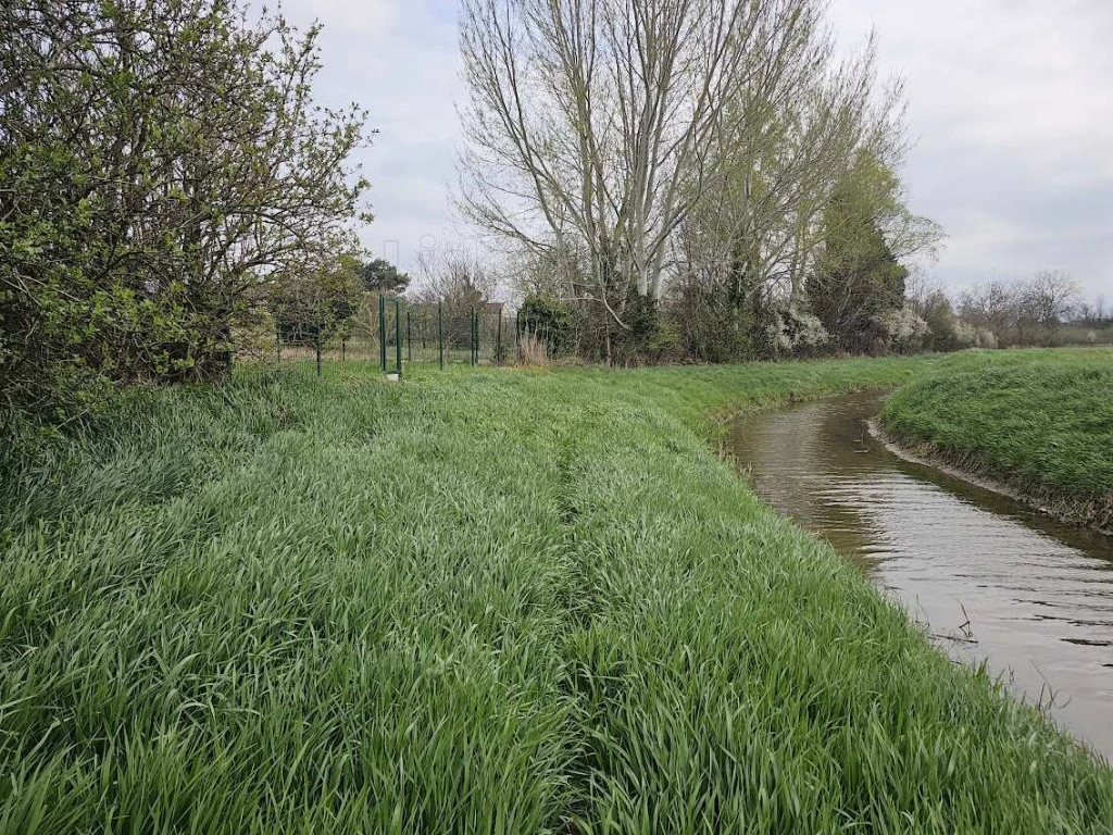 c3-1-name c2-50-name, Győr