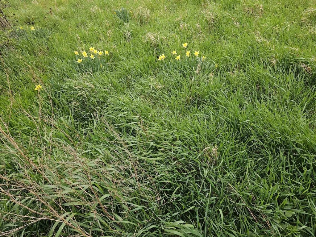 c3-1-name c2-50-name, Győr