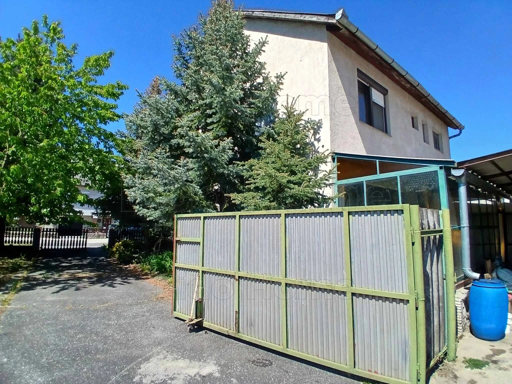 Vámosszabadin eladó – családi otthon és vállalkozási központ egy helyen