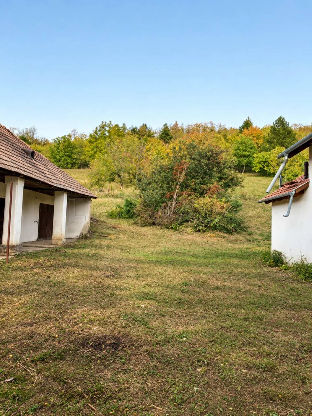 Sokorópátkán eladó 3687 m²-es telek, bontandó házzal!