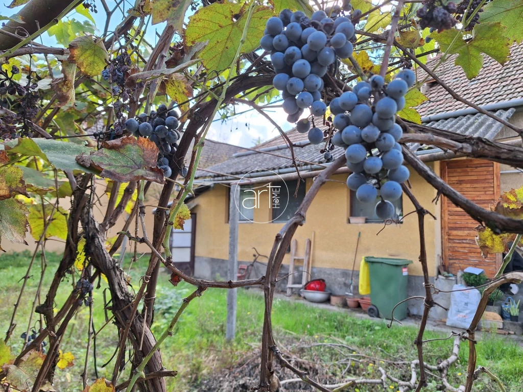 For sale house, Hódmezővásárhely