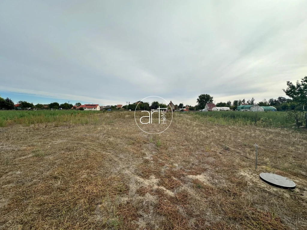 Eladó Telek, Mórahalom Pacsirta dűlő 11.900.000 Ft