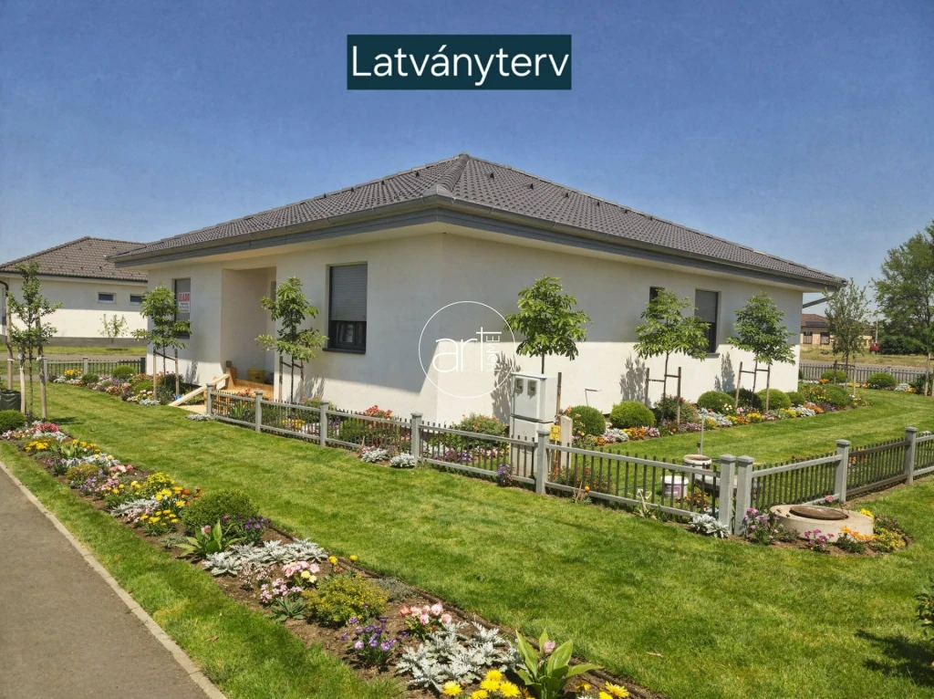 c3-1-name c2-6-name, Mórahalom, Erzsébet Kirányné útja