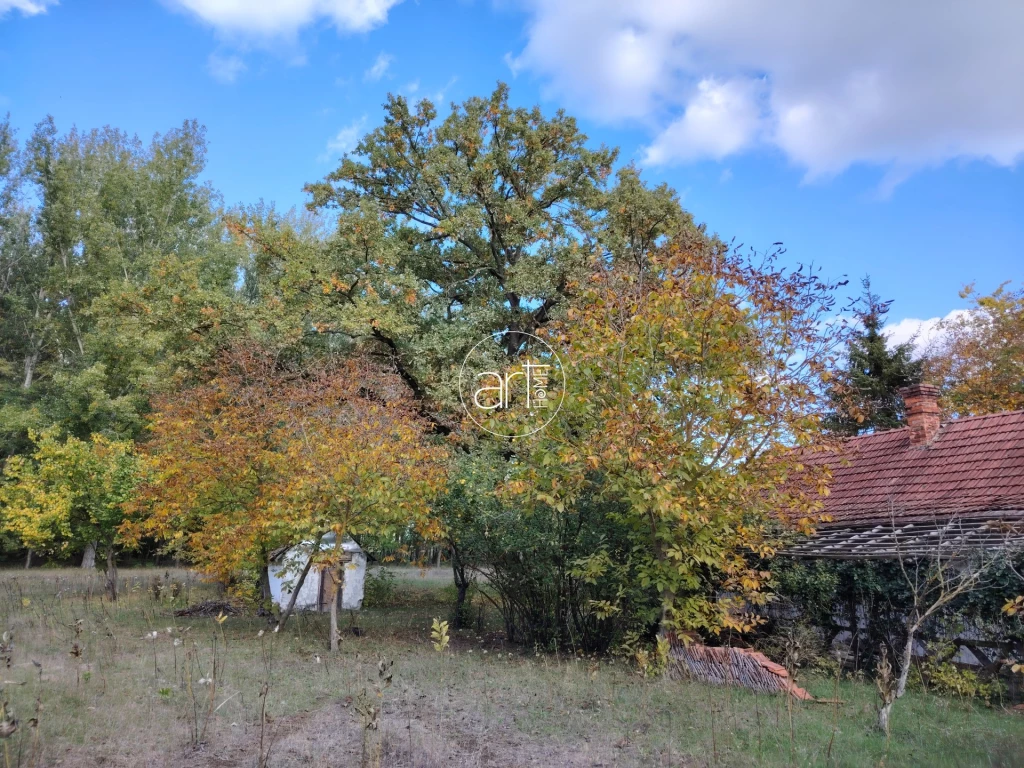 For sale other agricultural, Ruzsa