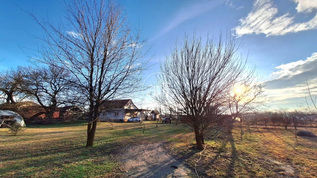 Eladó Ház, Szatymaz Külterület, tanya 72.500.000 Ft