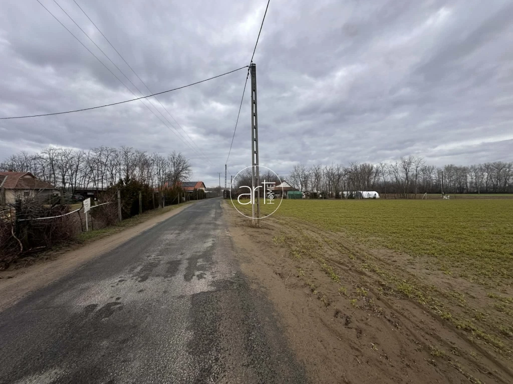 For sale other agricultural, Domaszék