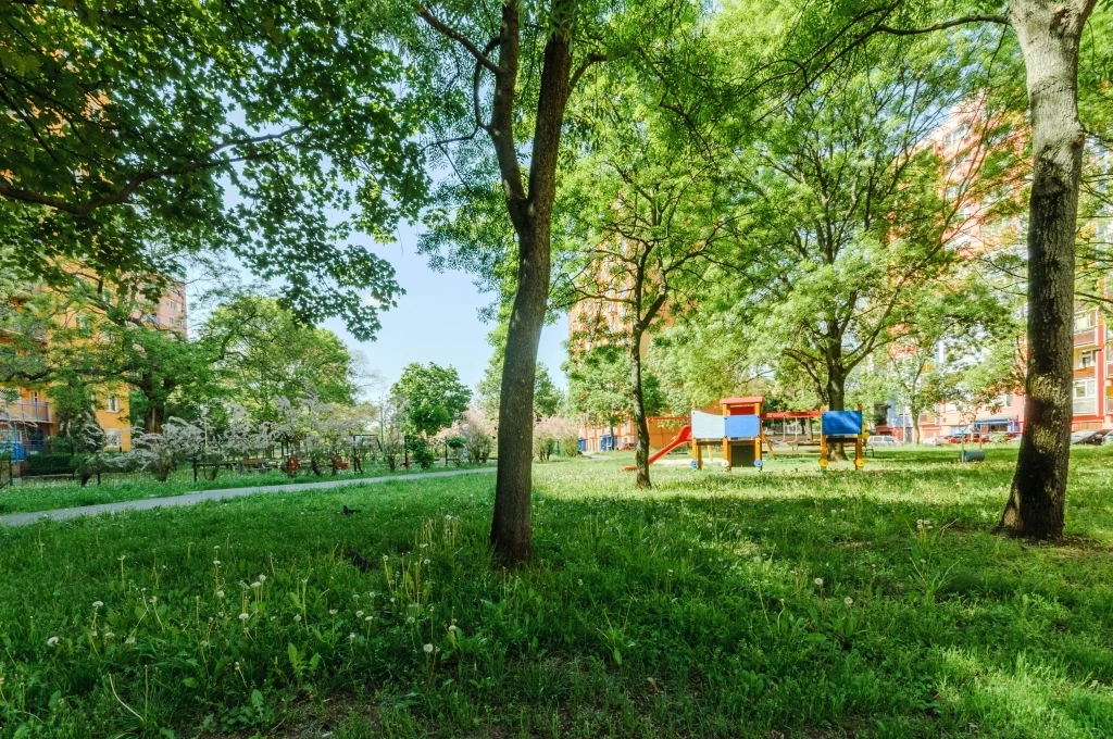 c3-1-name c2-20-name, Budapest X. kerület, Óhegy, Szövőszék utca
