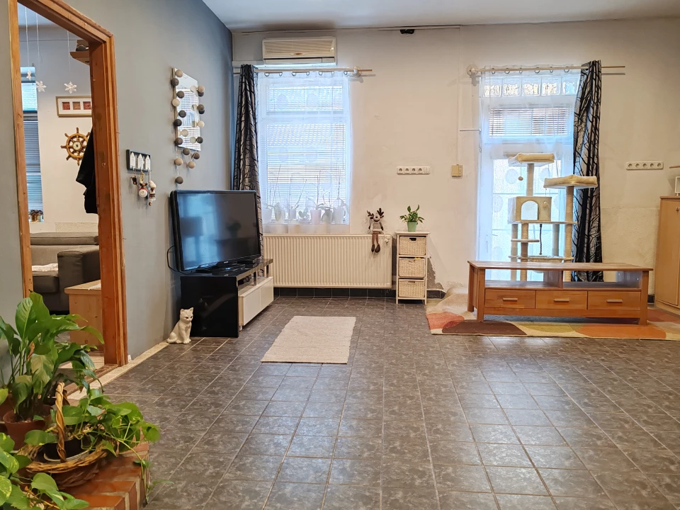 c3-1-name c2-1-name, Szolnok