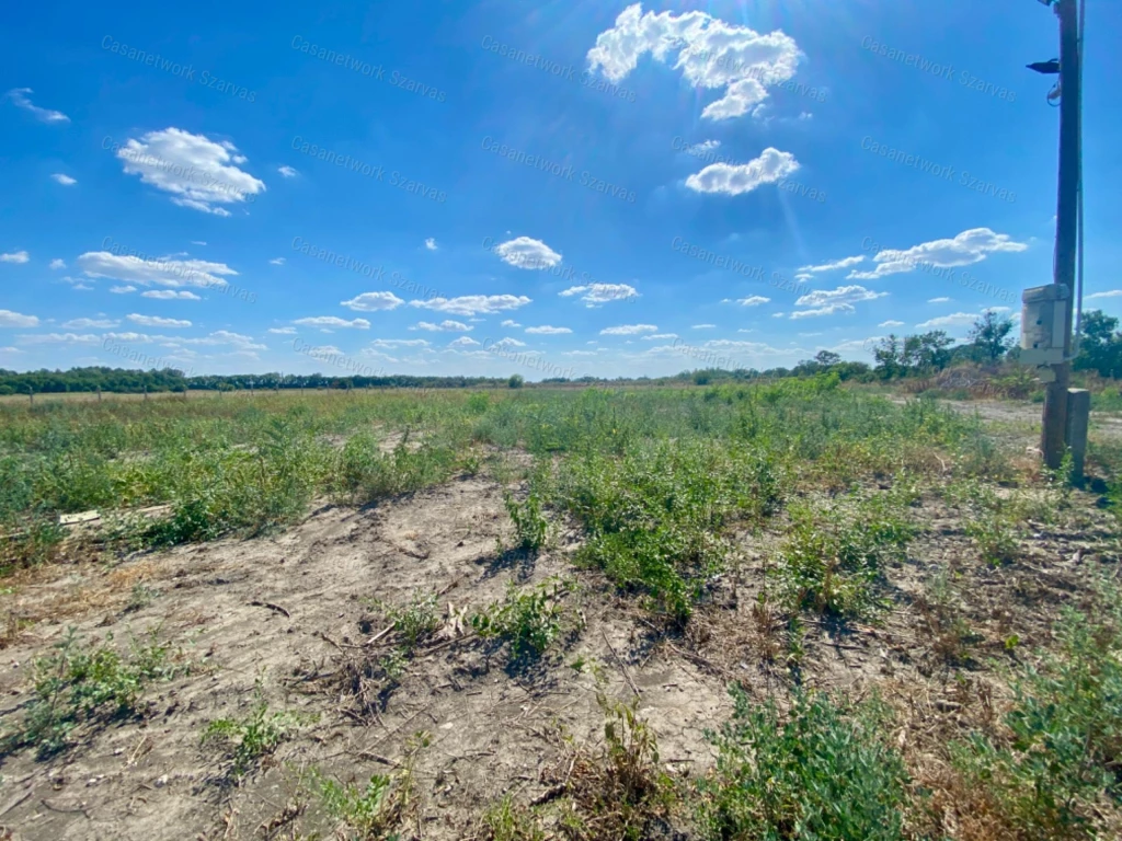 For sale orchard, Szarvas