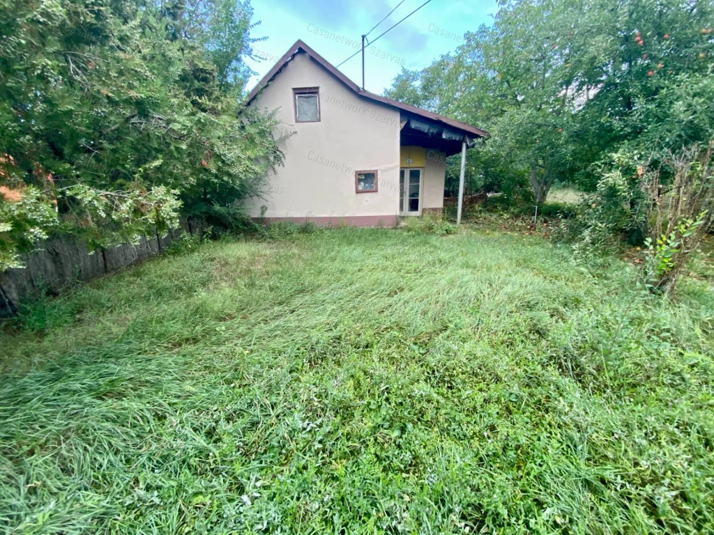 For sale house, Békésszentandrás