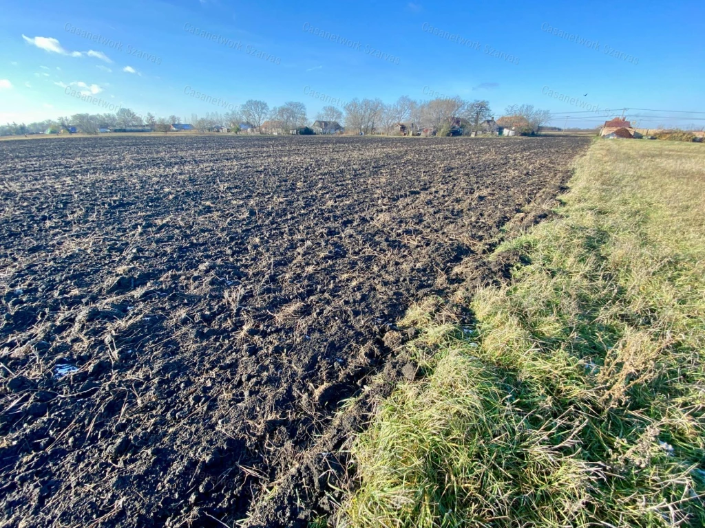 For sale plough-land, pasture, Szarvas