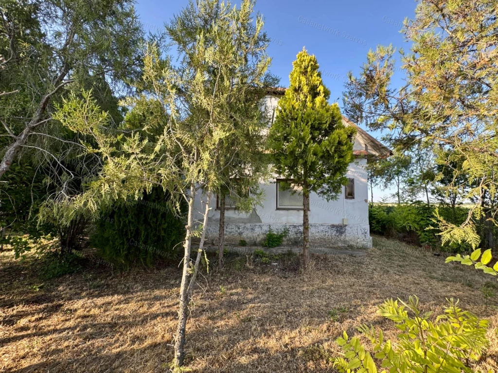 Számos hasznosítási lehetőséget magában foglaló tanya eladó Kardoson