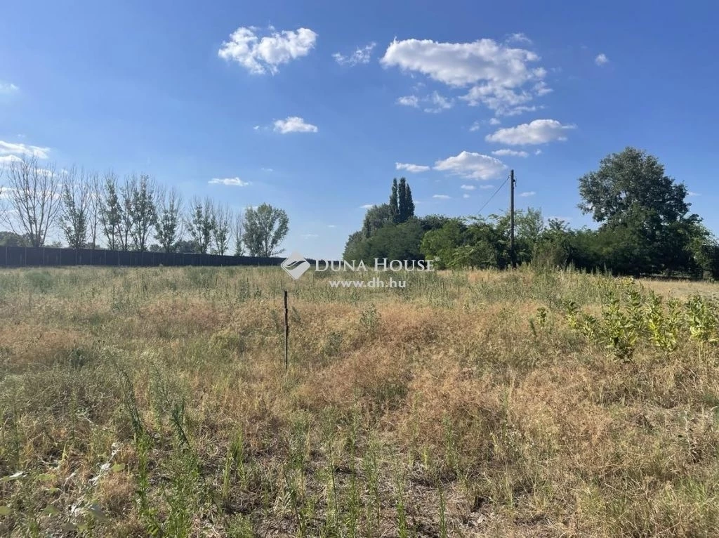 For sale plough-land, pasture, Szeged, Kiskundorozsma