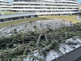 Cédrusban lakás udvari tóval, szökőkúttal, Szegeden