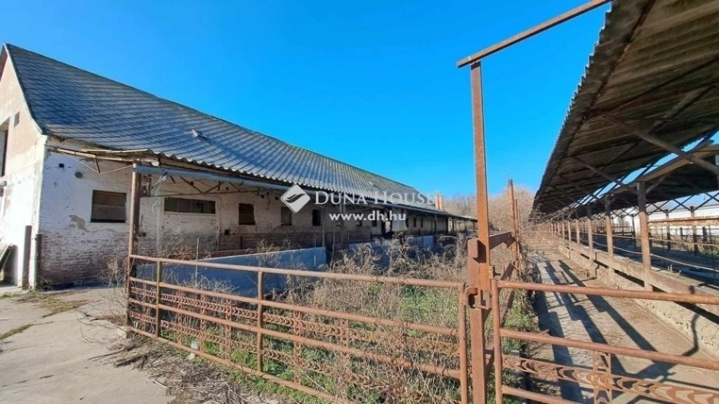 Eladó mezőgazdasági, Hódmezővásárhely