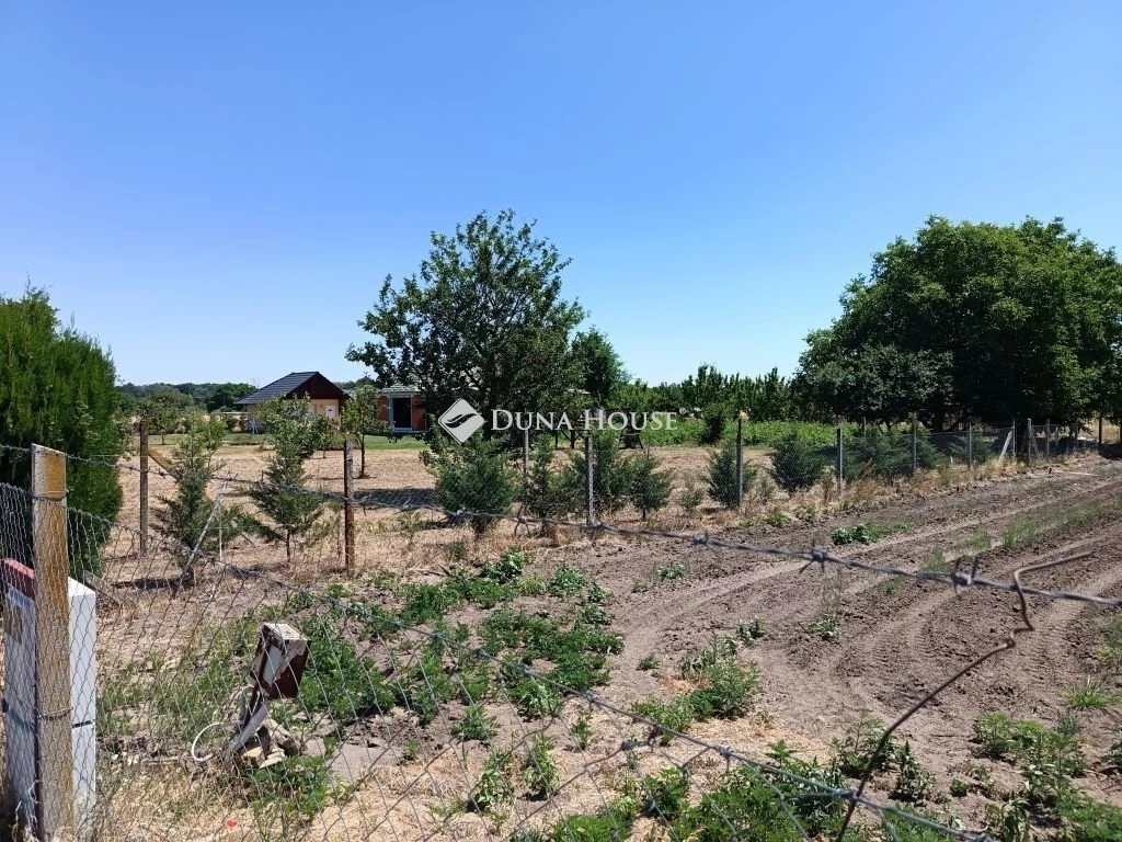 Eladó mezőgazdasági, Szeged