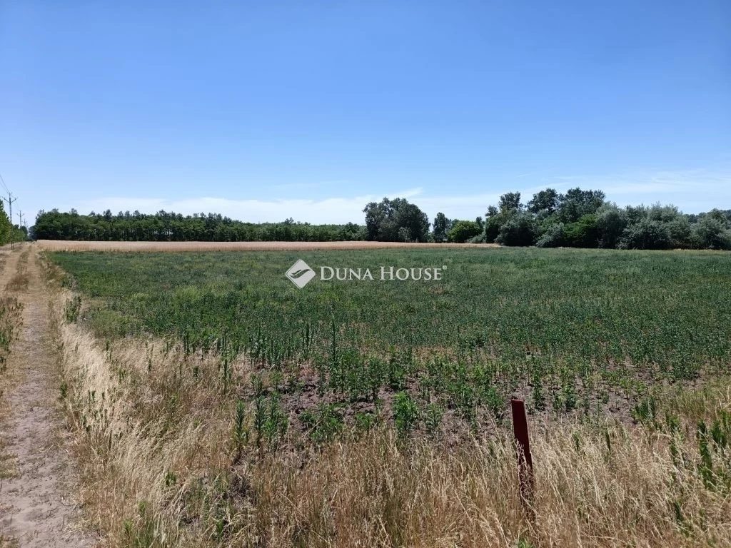 Eladó mezőgazdasági, Szeged