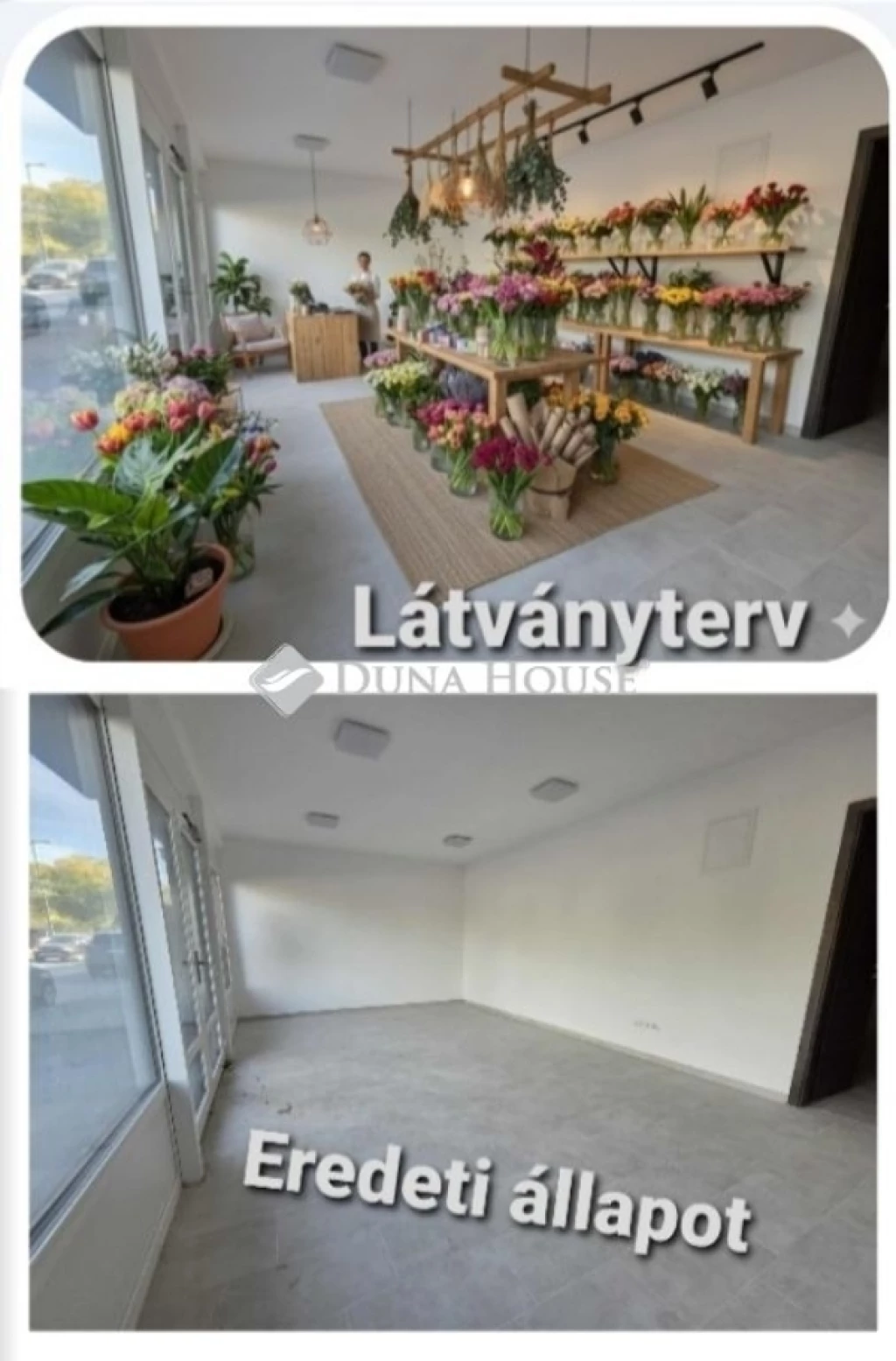 For sale store, Szeged