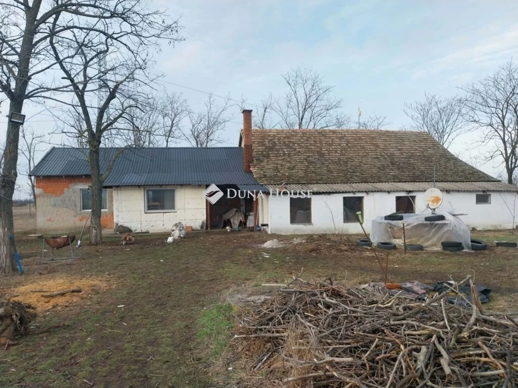 For sale plough-land, pasture, Hódmezővásárhely, Kéktó