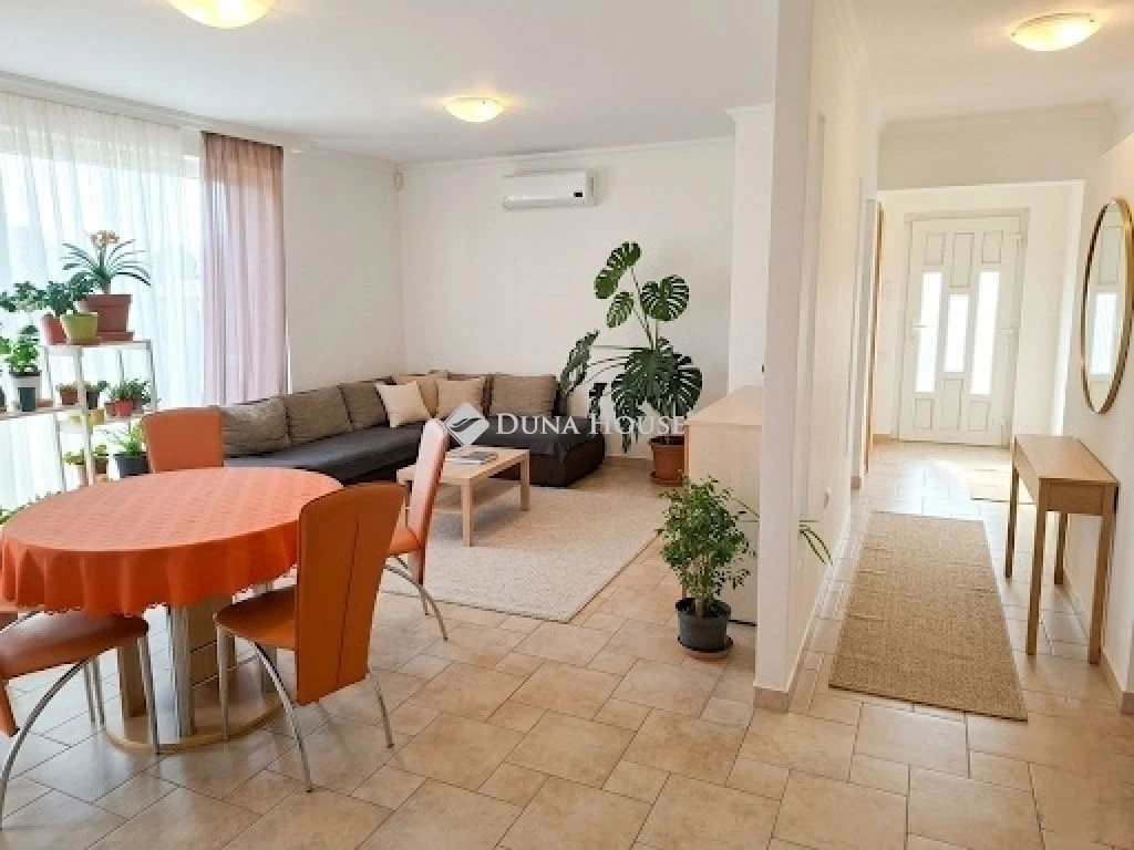 c3-1-name c2-1-name, Szeged