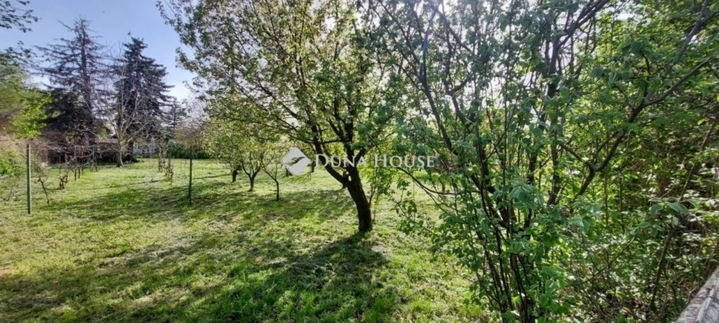 c3-1-name c2-50-name, Szeged