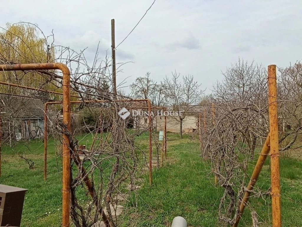 c3-1-name c2-62-name, Szeged