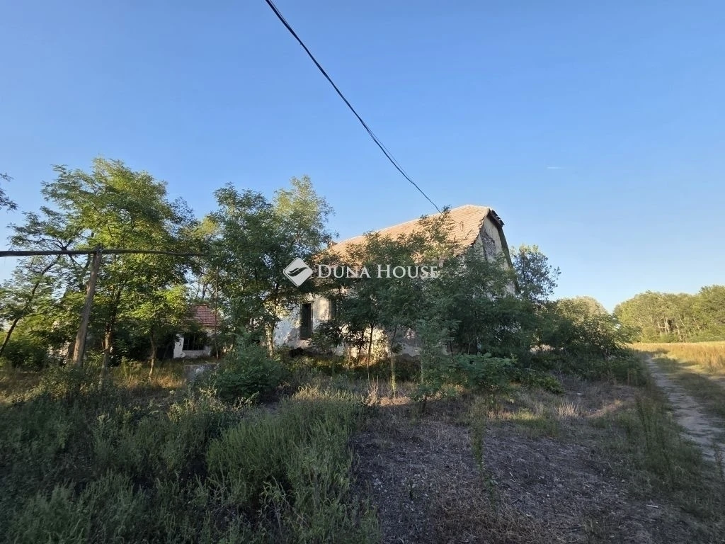 TANYA + 2,7 HEKTÁR GYÜMÖLCSÖS KISTELEKEN