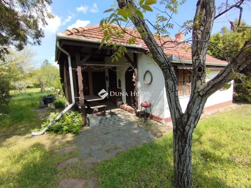 c3-1-name c2-62-name, Szeged