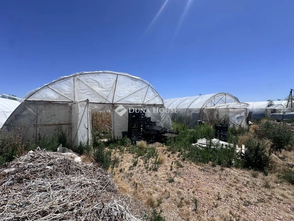 Eladó mezőgazdasági, Szentes