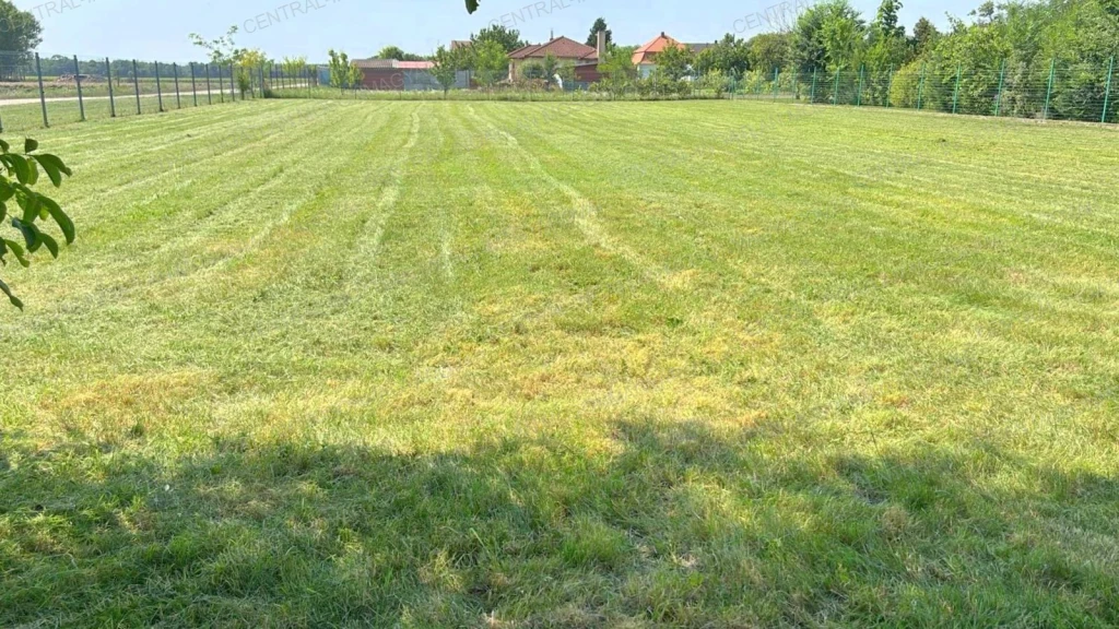 Csendes, madárcsicsergős telek Újrónafőn, csodás kilátással eladó!